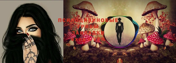 эйфоретик Абдулино